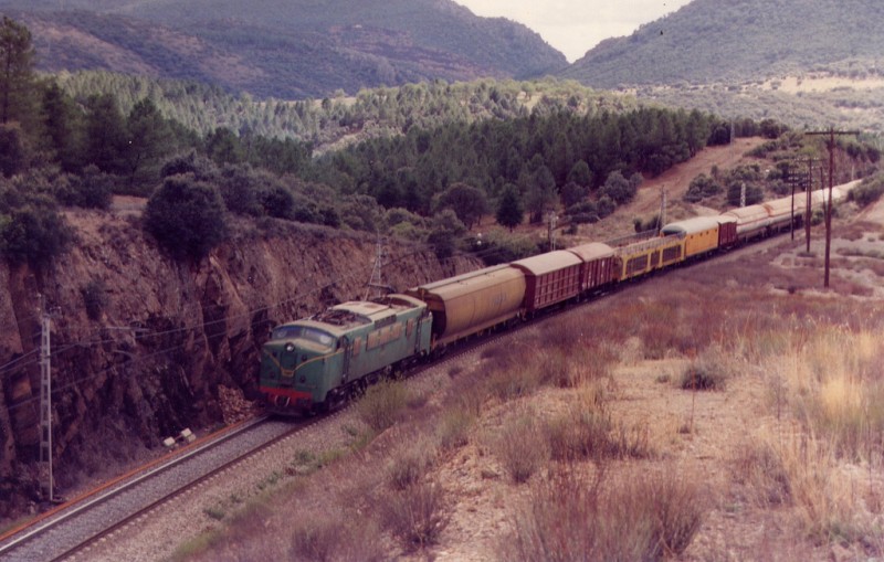 Foto vicentren.jpg