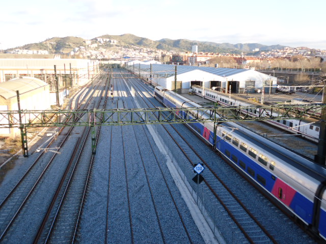TGV Daisy.JPG