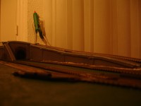 DSC02436.JPG