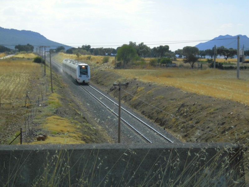 CIMG2793.JPG