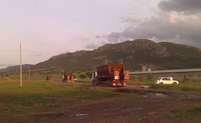 Imagen367.jpg
