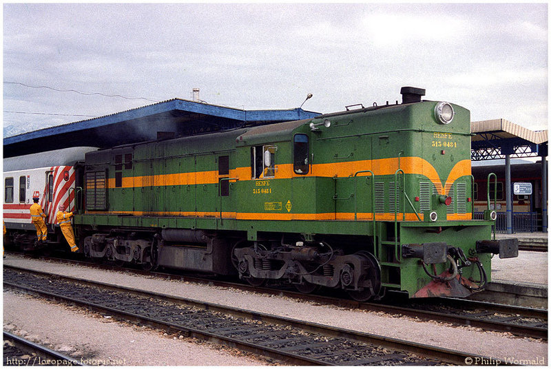 313.jpg
