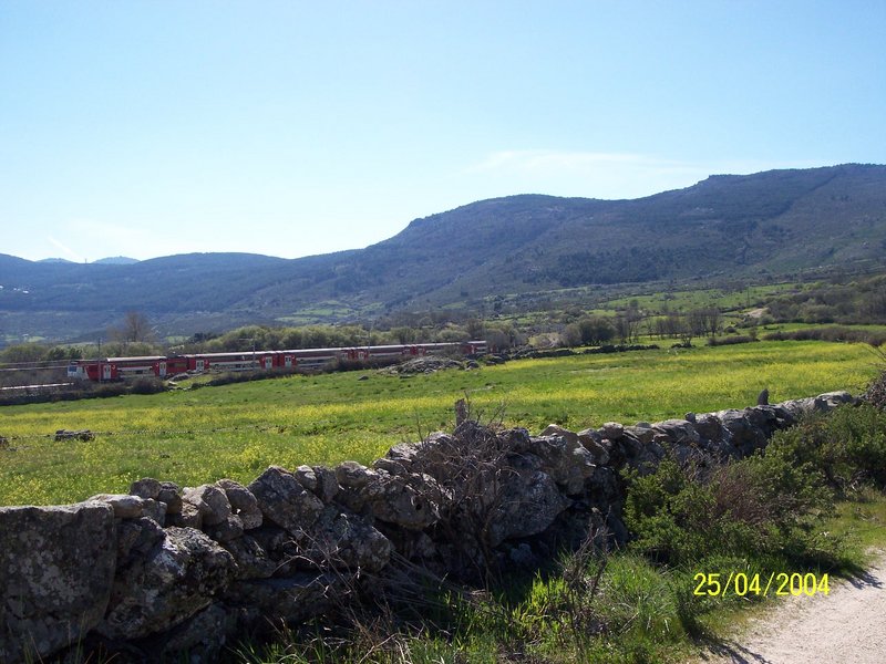 TREN.JPG