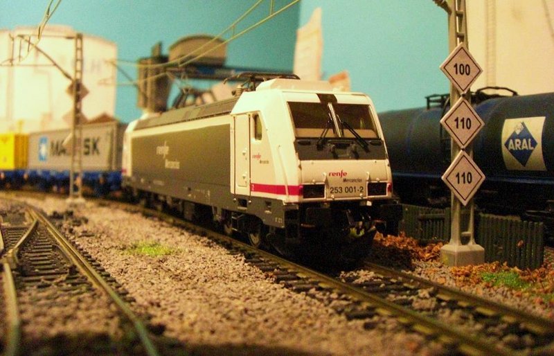 CIMG7350.JPG