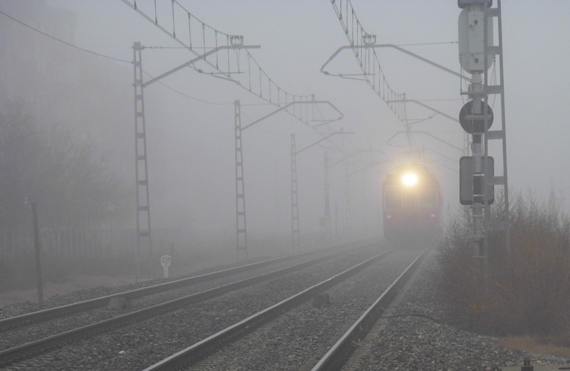 emergiendo entre la niebla.jpg