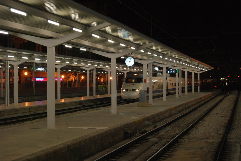 Tarde trenera 347.jpg