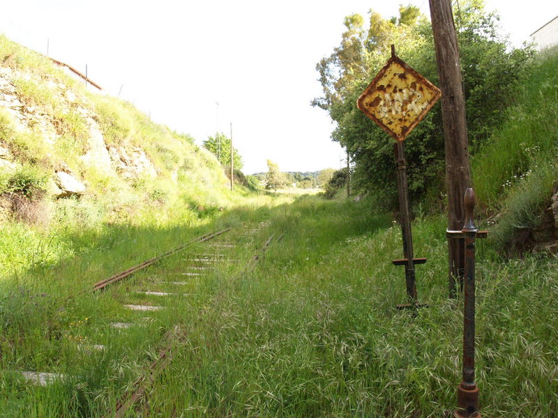 P4271117.JPG