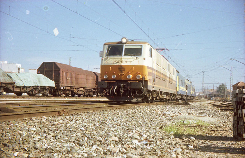 Felisuco1328.jpg