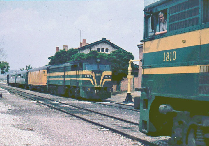 164.jpg