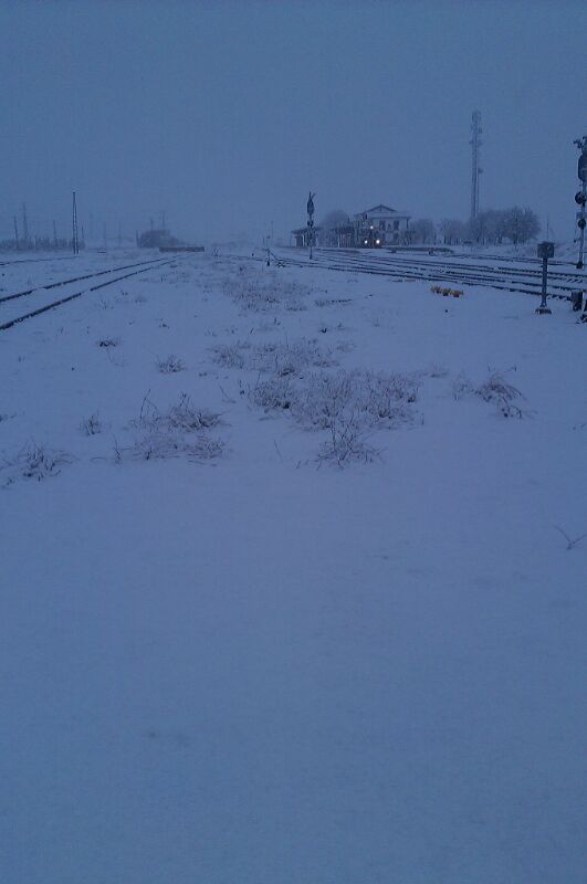 IMG-20140119-WA0020.jpg
