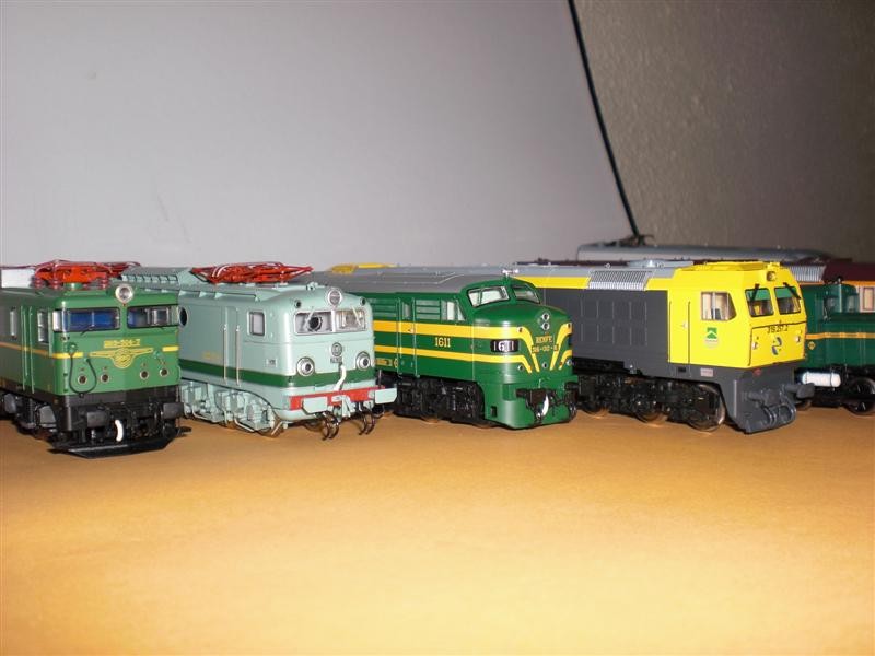 CIMG0544 (Medium).JPG