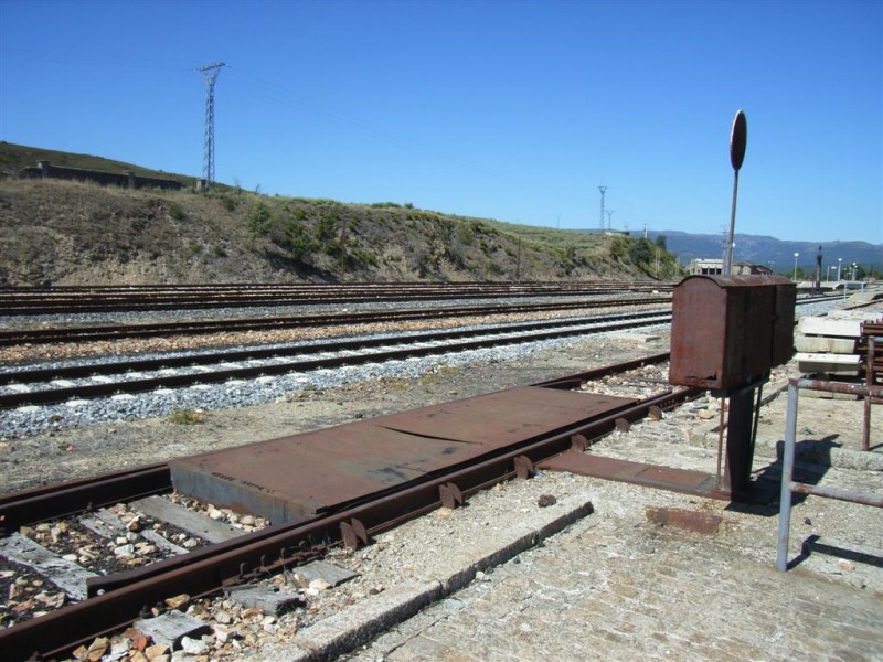 RIMG1651.jpg