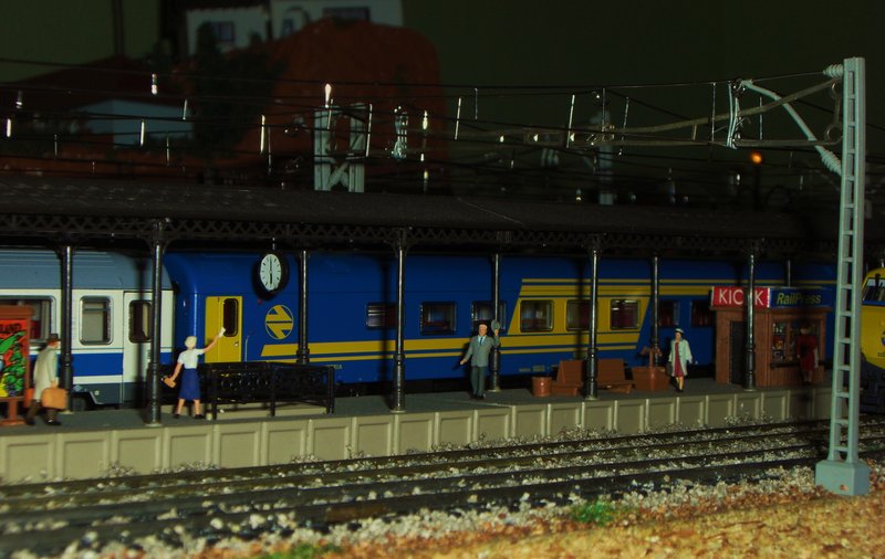 CIMG7389.JPG