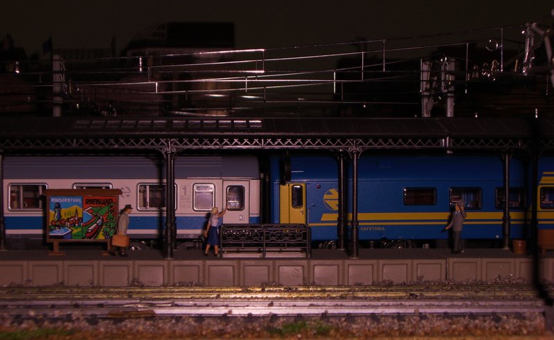 CIMG7388.JPG