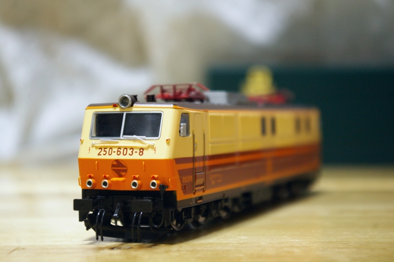 IMGP9560.JPG