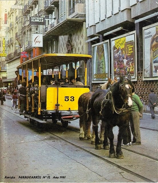 1981.jpg