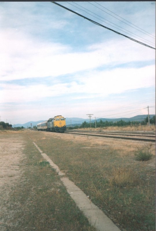 foto007.jpg