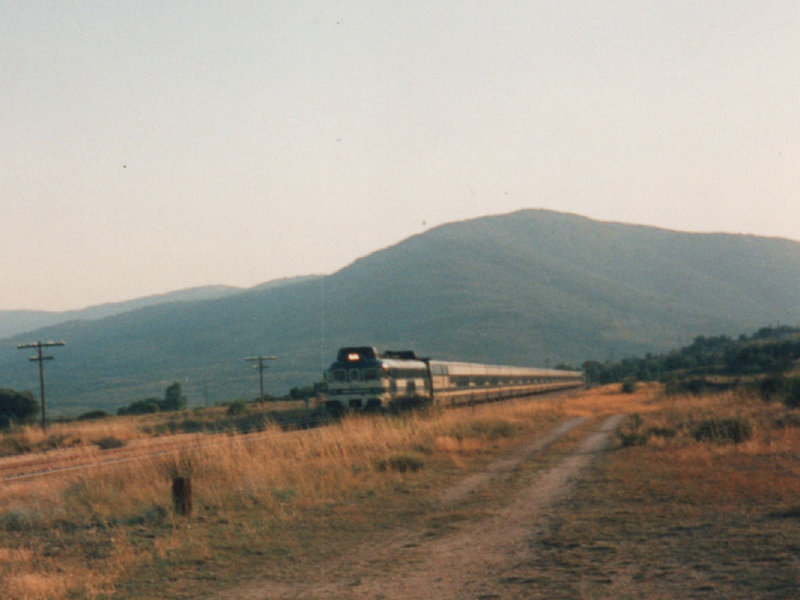 pakito01.jpg
