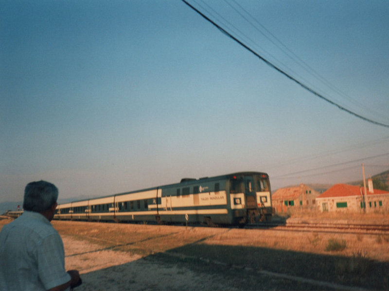 pakito02.jpg