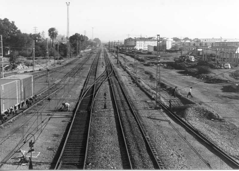 TREN%2~1.JPG