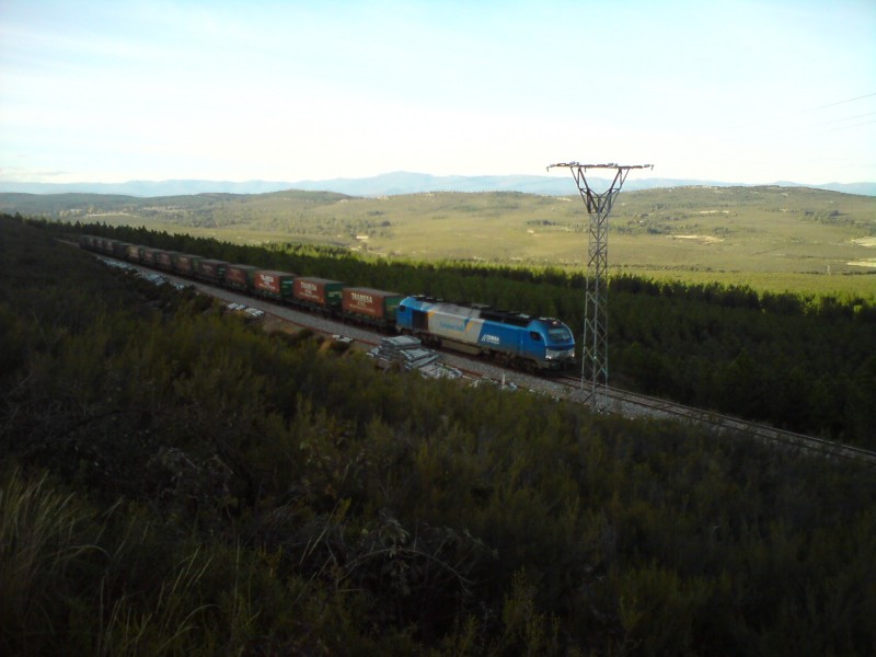 DSC01703.JPG