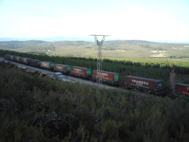 DSC01704.JPG