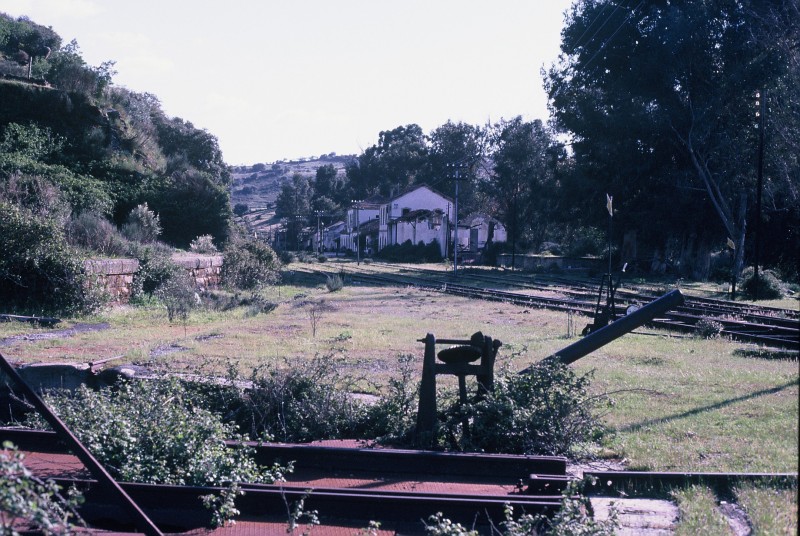 F1000003.JPG