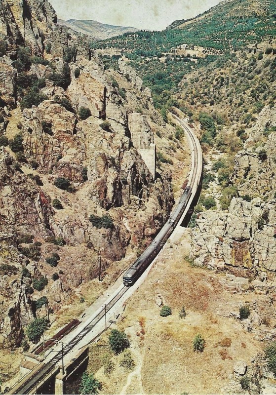 ter.jpg