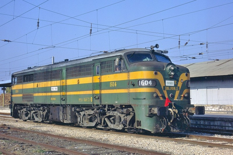 15374.jpg
