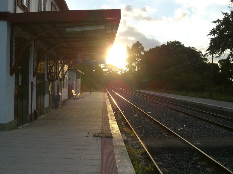 Imagen19 013.jpg
