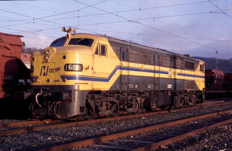 1601 azvi.jpg