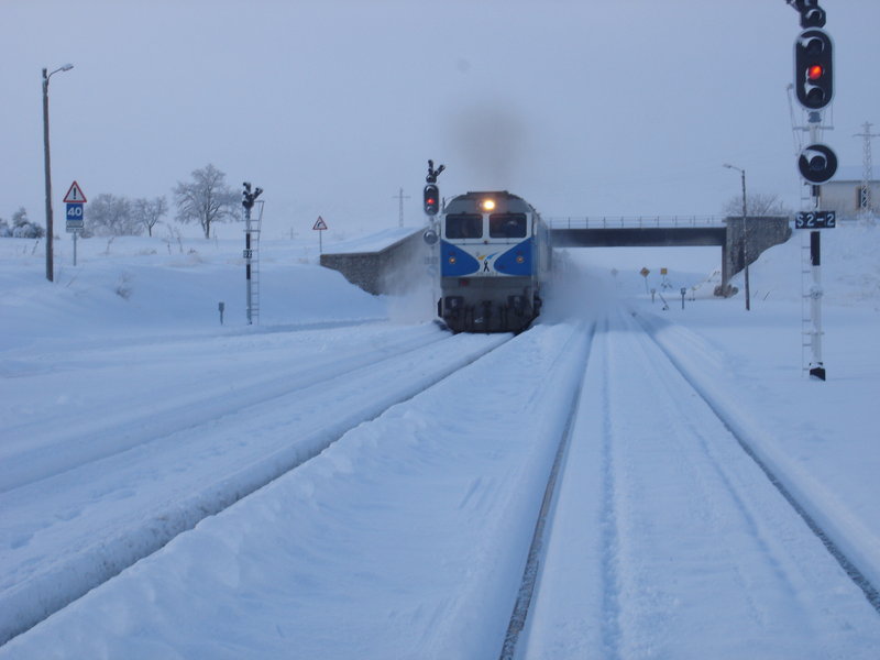 nieve2-03-05 051.jpg