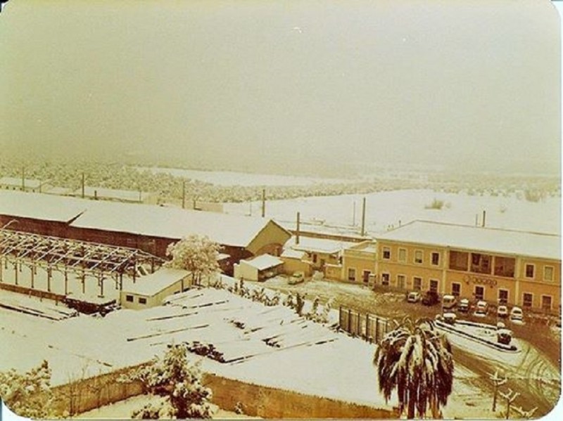 Estacion renfe febrero 1983.Foto Arroyo - copia.jpg