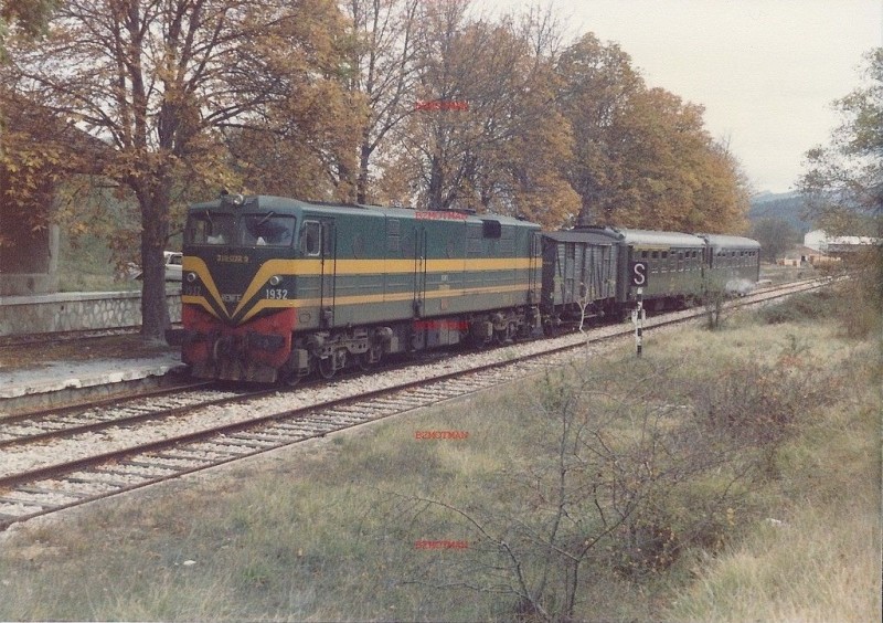 264.jpg