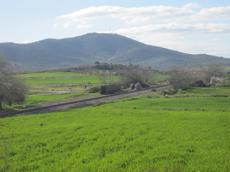 linea férrera a su paso por el yacimiento romano de Regina.jpg