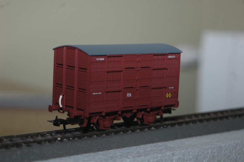 DSC_0123.JPG