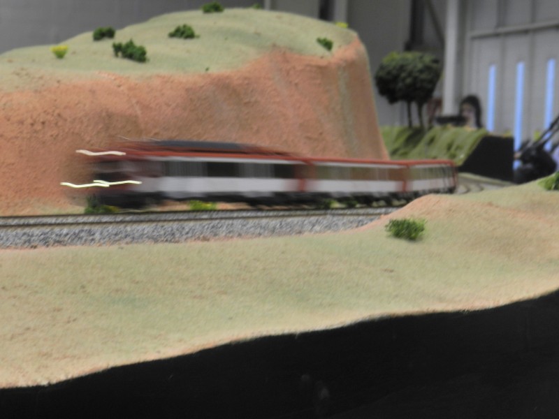 DSCN0555.JPG