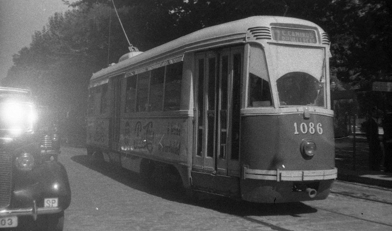 310.jpg