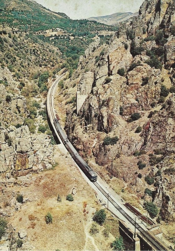 ter.jpg