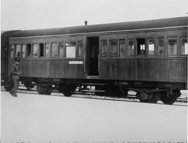 Tren en rota.JPG