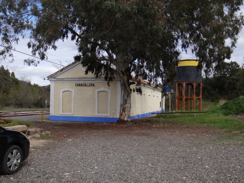 DSC08811.JPG