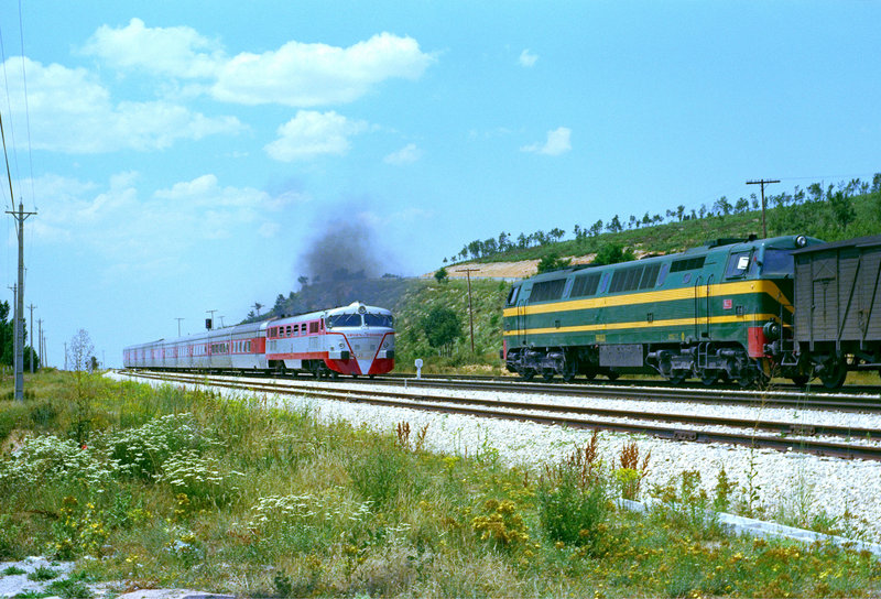 talgo y 333.jpg