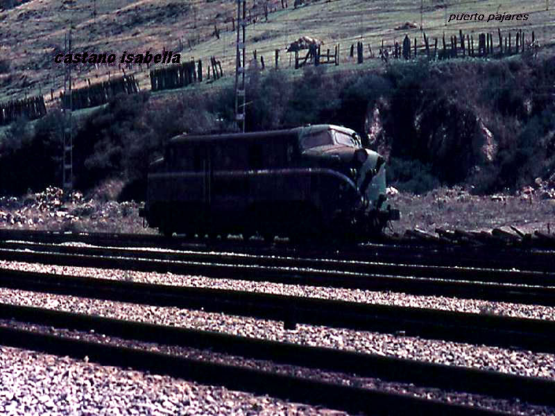 001ci.jpg