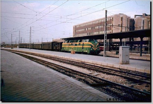 TRA00770.jpg