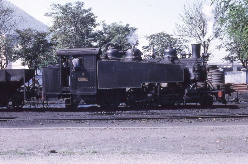 00175.jpg
