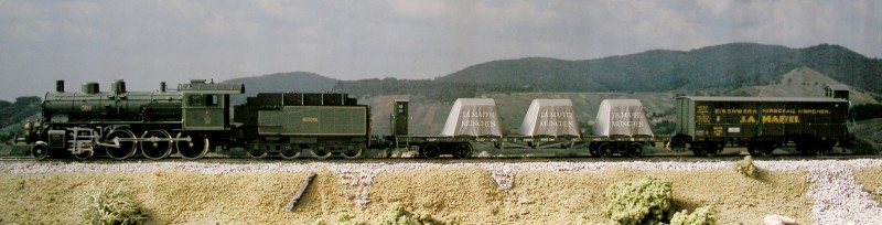 Tren.JPG