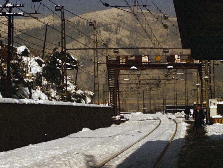 pasarela.jpg