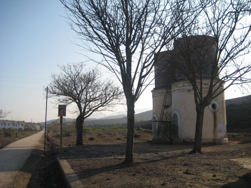 19257245.jpg