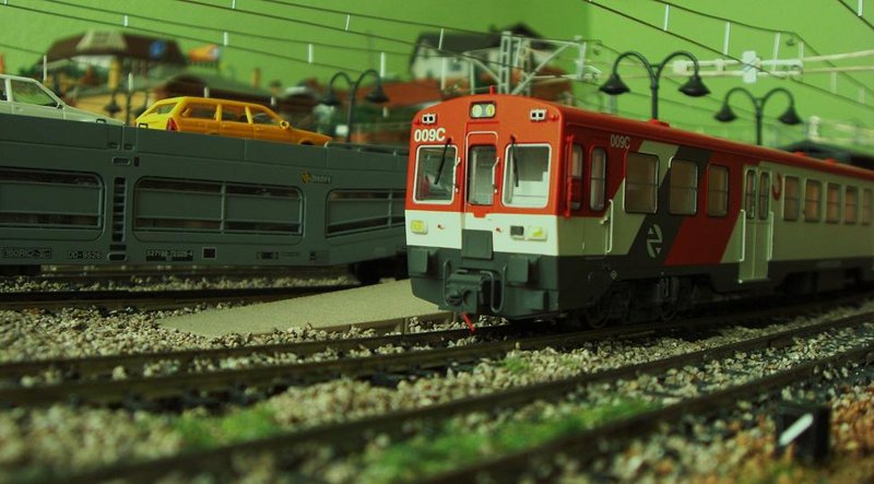 CIMG7498.JPG