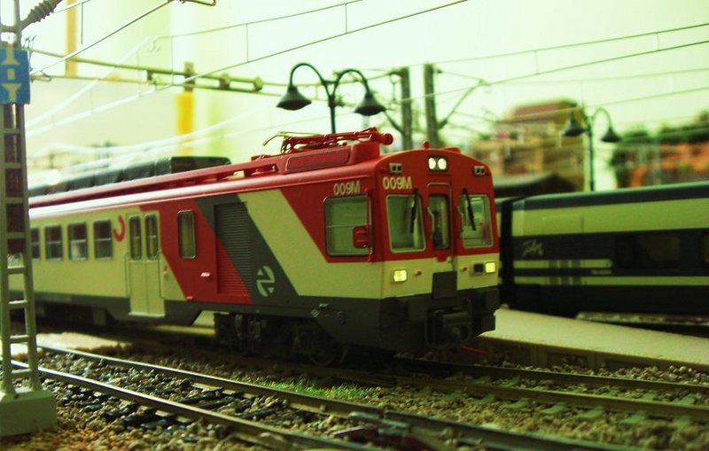 CIMG7499.JPG